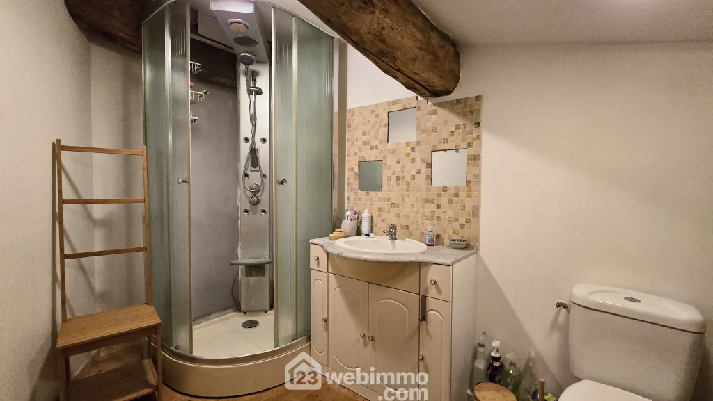 Longère spacieuse avec gîte et piscine à La Brousse - 244 m² 