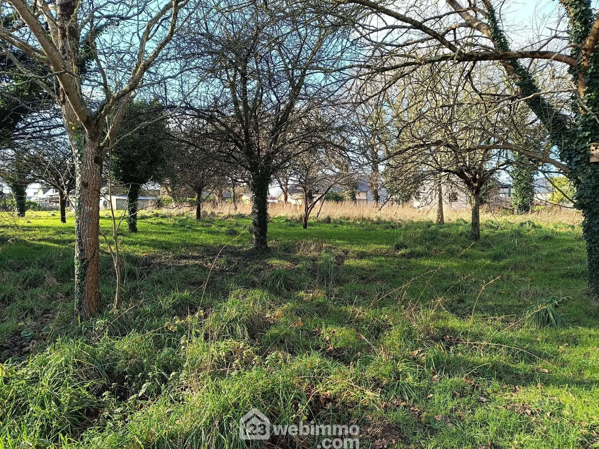 Terrain à bâtir de 633 m² à Cavan, viabilisé et prêt à construire 