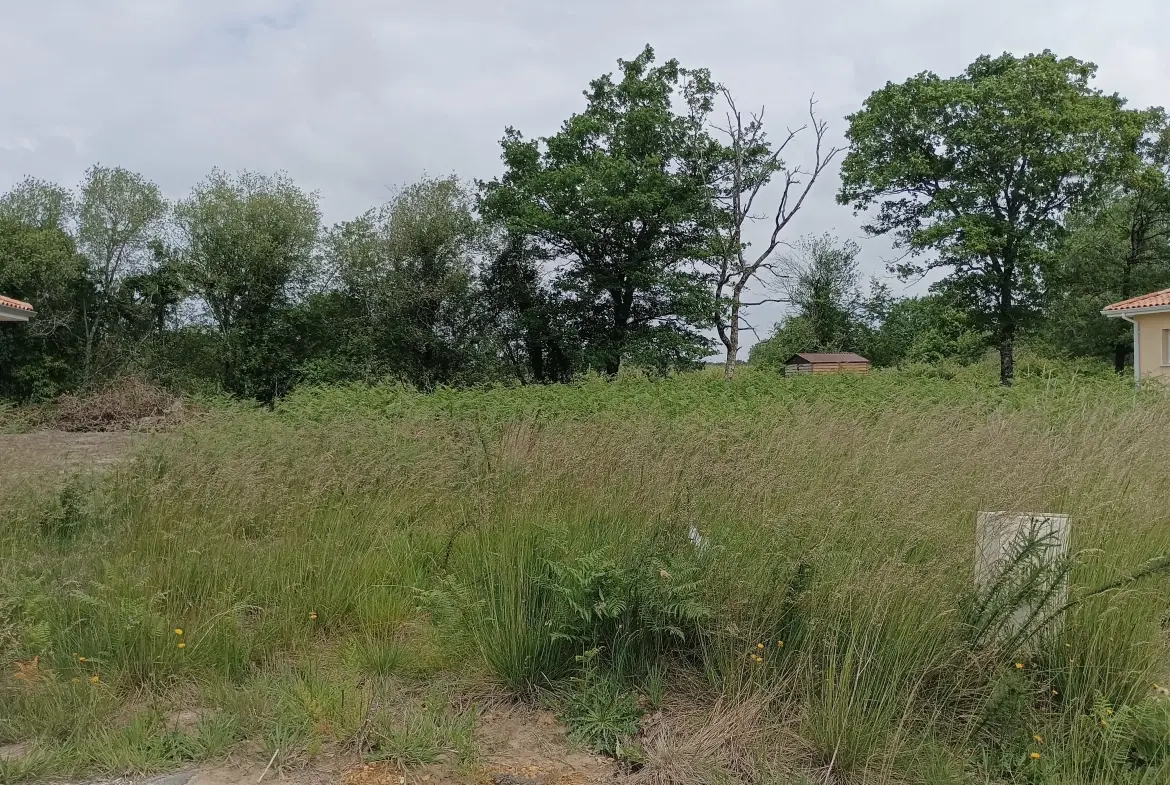 Maison neuve 3 chambres avec suite parentale à Bas Mauco - Terrain de 1284 m² 