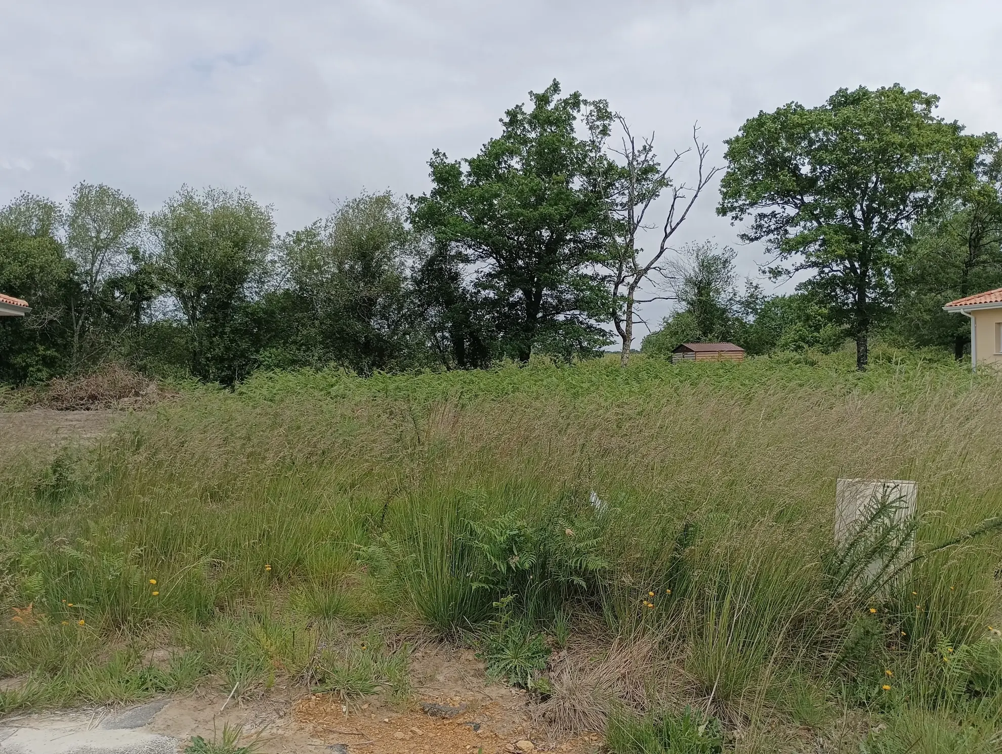 Maison neuve 3 chambres avec suite parentale à Bas Mauco - Terrain de 1284 m² 