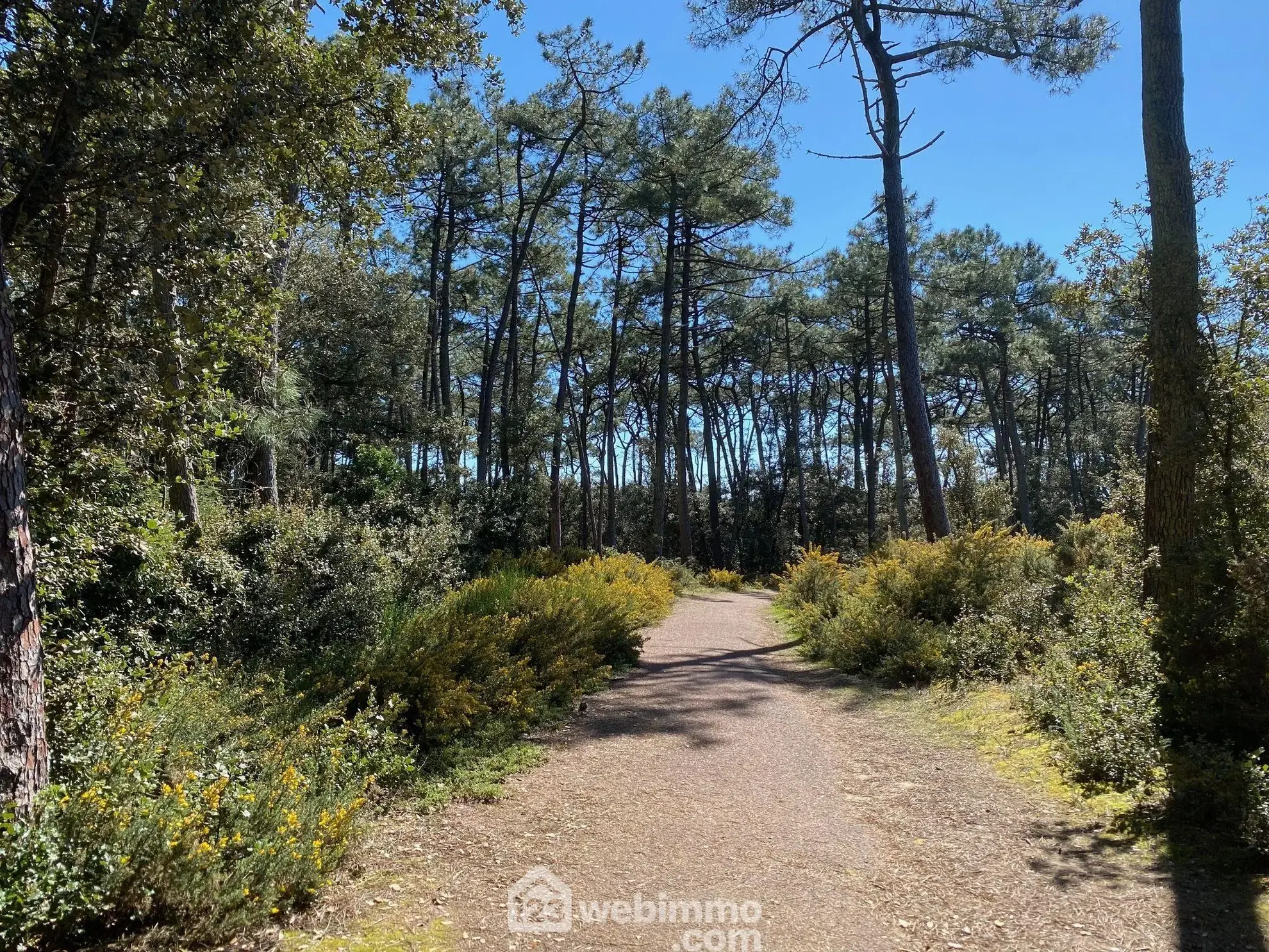 Charmant studio de 27 m² à Jard-sur-Mer dans le domaine du Parc de La Grange 