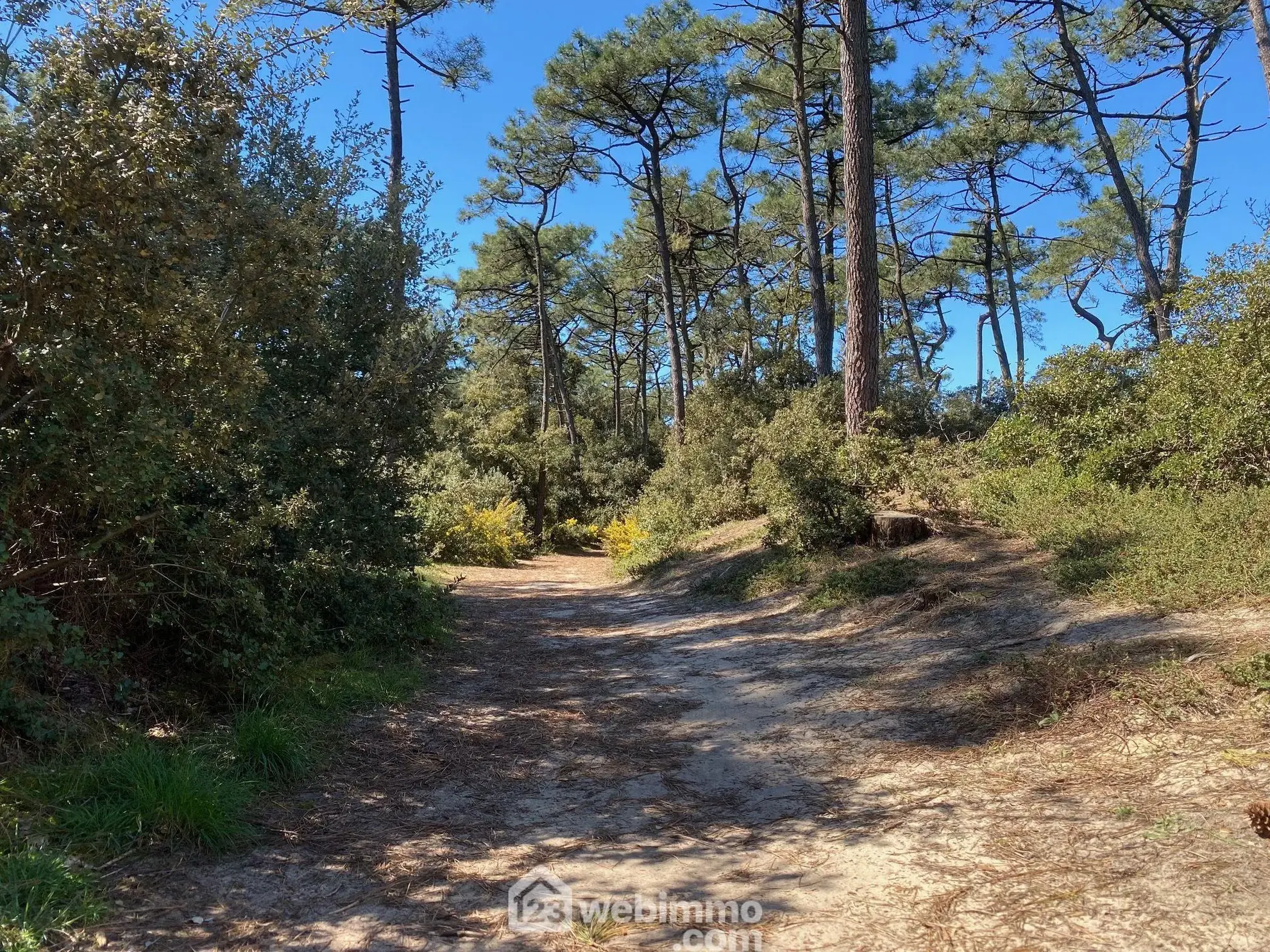 Charmant studio de 27 m² à Jard-sur-Mer dans le domaine du Parc de La Grange 