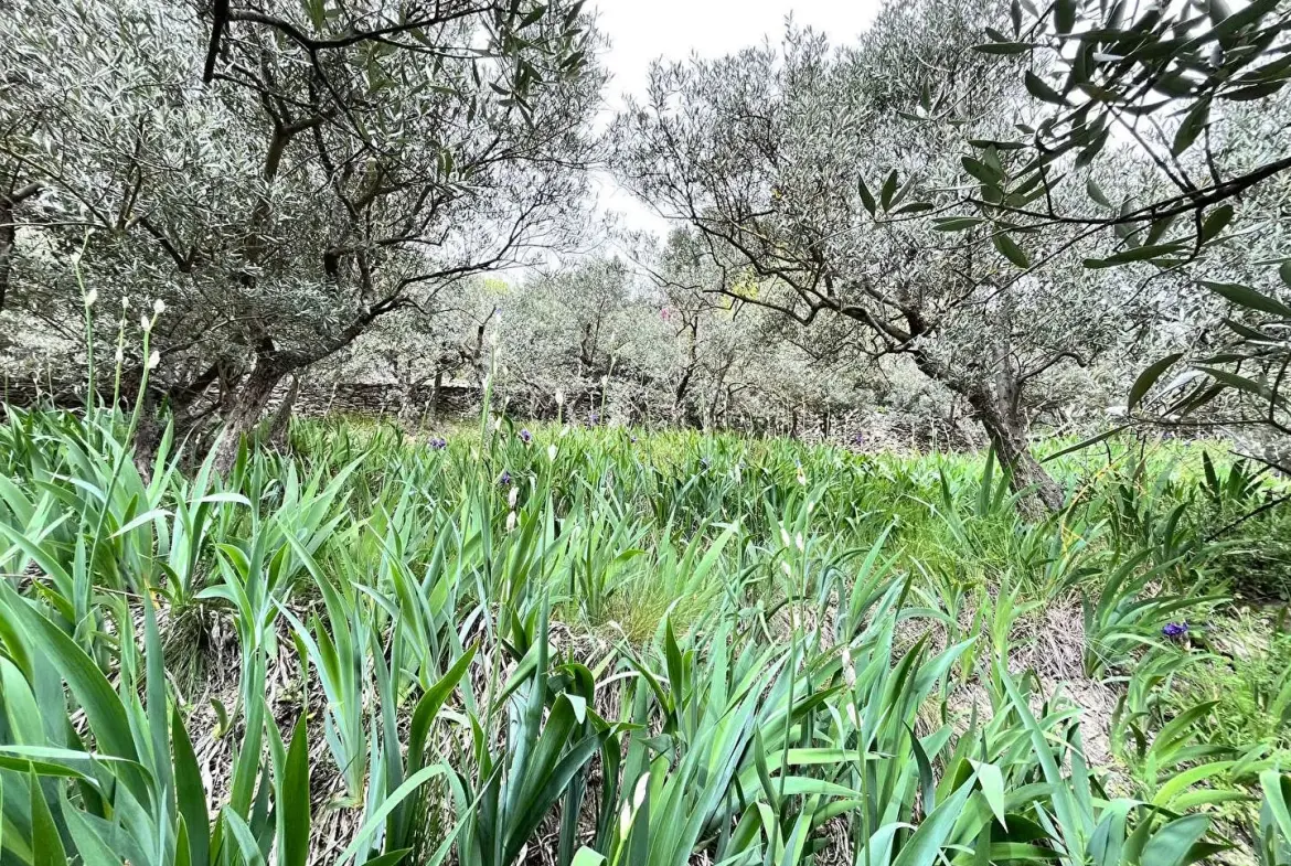 Charmante maison en pierre de 190m² avec vue sur le Luberon à vendre à Les Beaumettes 