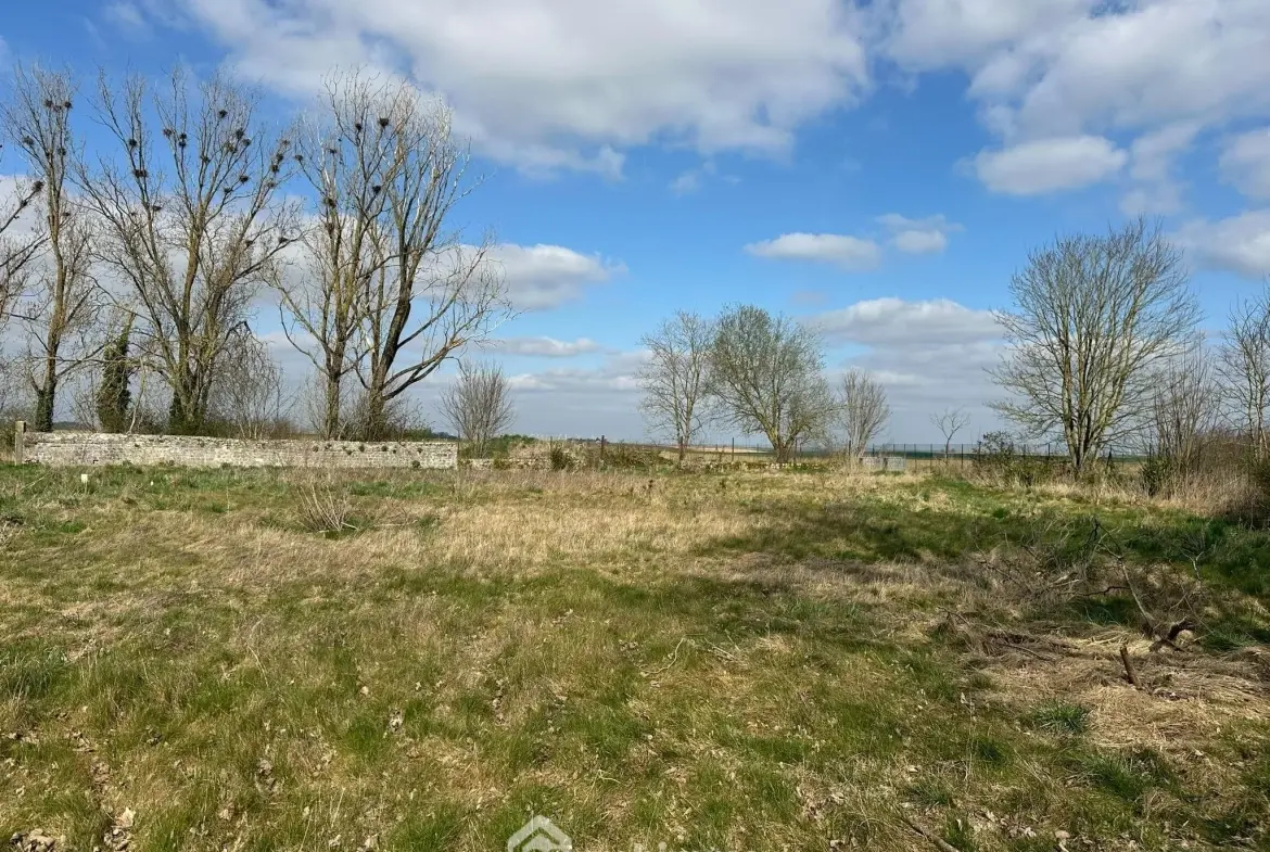 Opportunité rare : trois terrains à bâtir de 20 mètres de façade à Monceau-le-Waast 