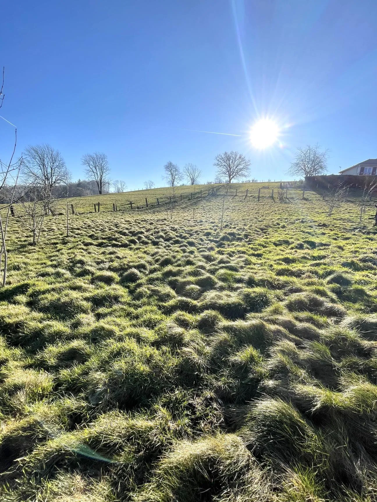 Parcelle de terrain à Xertigny 1278 m² avec vue dégagée à vendre 