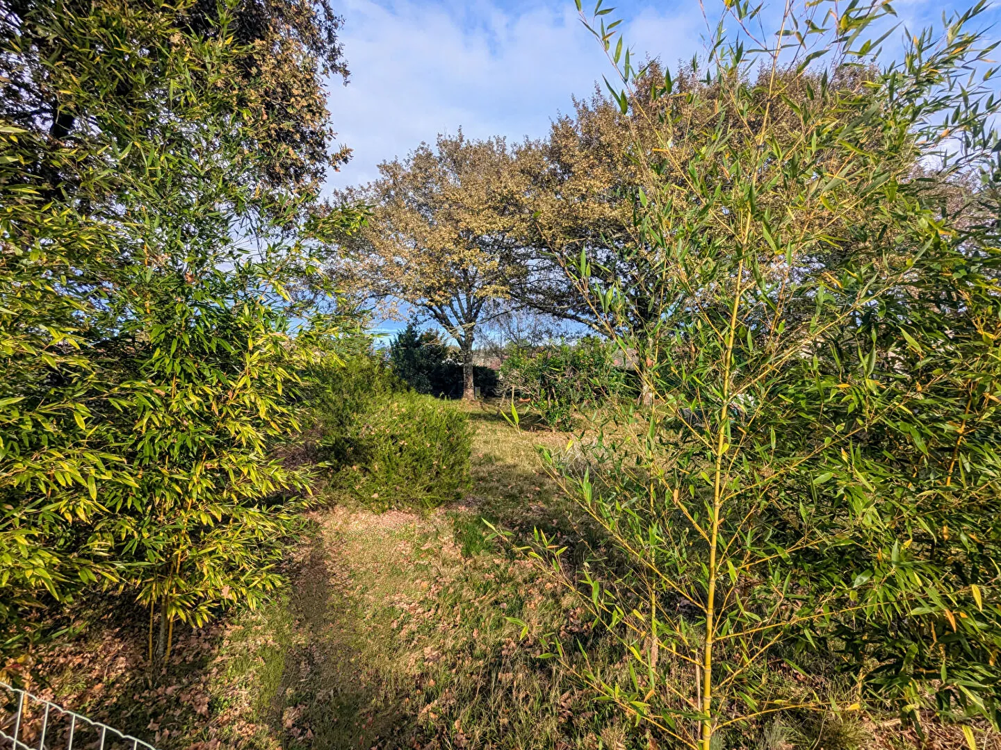 Maison 5 pièces à vendre à Escource - Confort et tranquillité 