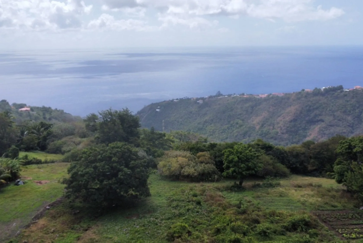 Appartement T2 avec terrasse et Vue Mer à Schoelcher en Martinique 