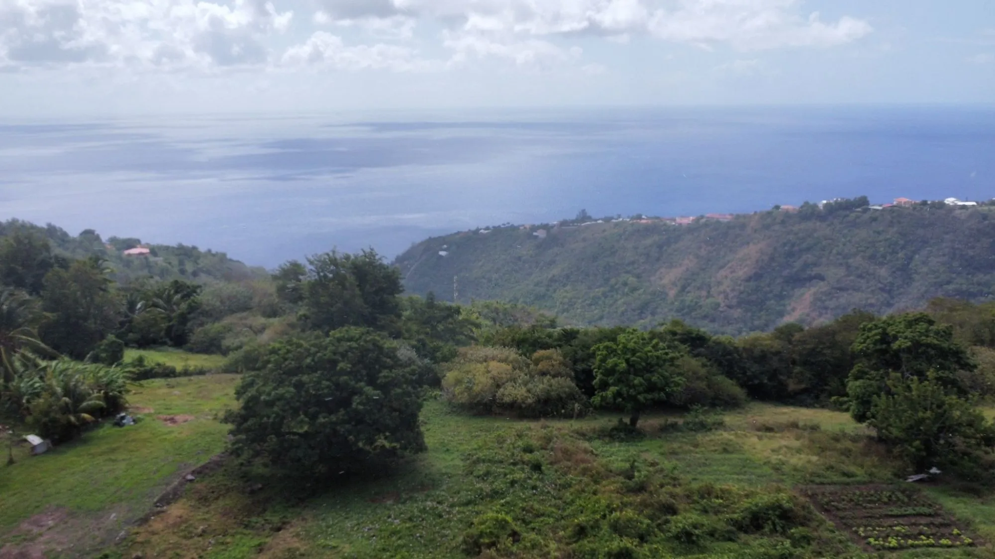 Appartement T2 avec terrasse et Vue Mer à Schoelcher en Martinique 