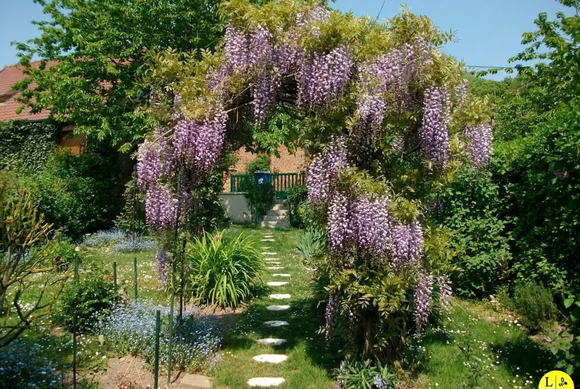 À Vendre Maison de Village à Lucheux, 110 m² avec Jardin et Parking 