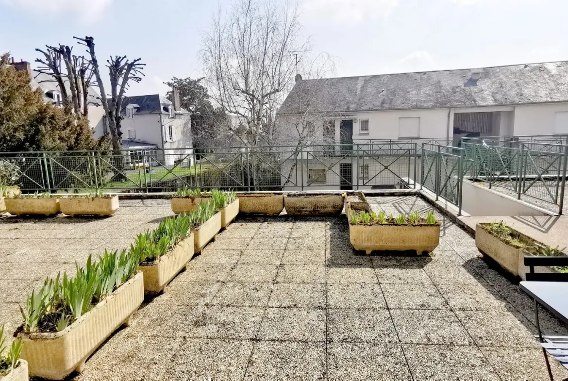 Appartement T2 en loft avec terrasse à Blois, proche centre-ville 
