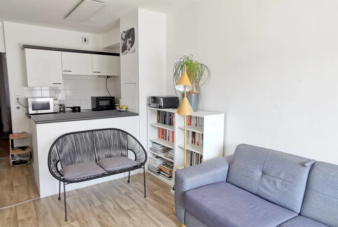 Appartement T2 en loft avec terrasse à Blois, proche centre-ville 