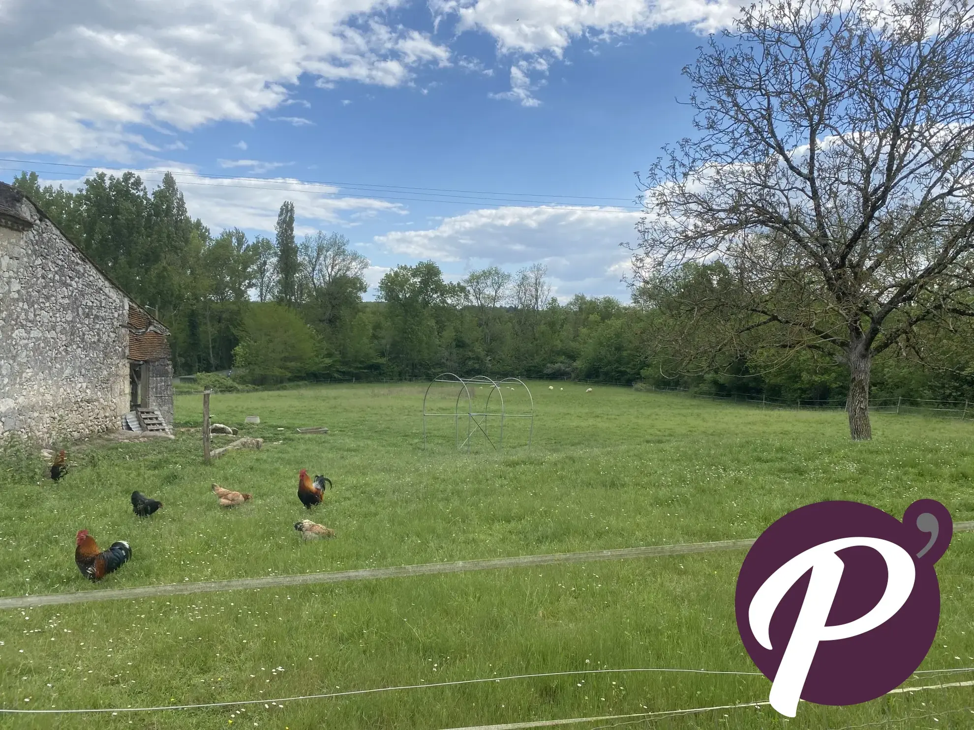 Opportunité à Cours-de-Pile : Grange, séchoir et terrain constructible pour projets sur-mesure 