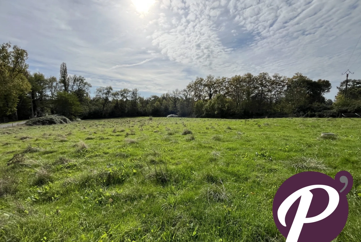 Opportunité à Cours-de-Pile : Grange, séchoir et terrain constructible pour projets sur-mesure 