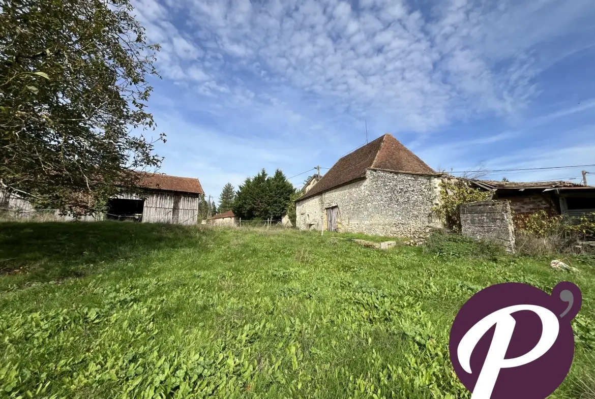 Opportunité à Cours-de-Pile : Grange, séchoir et terrain constructible pour projets sur-mesure 