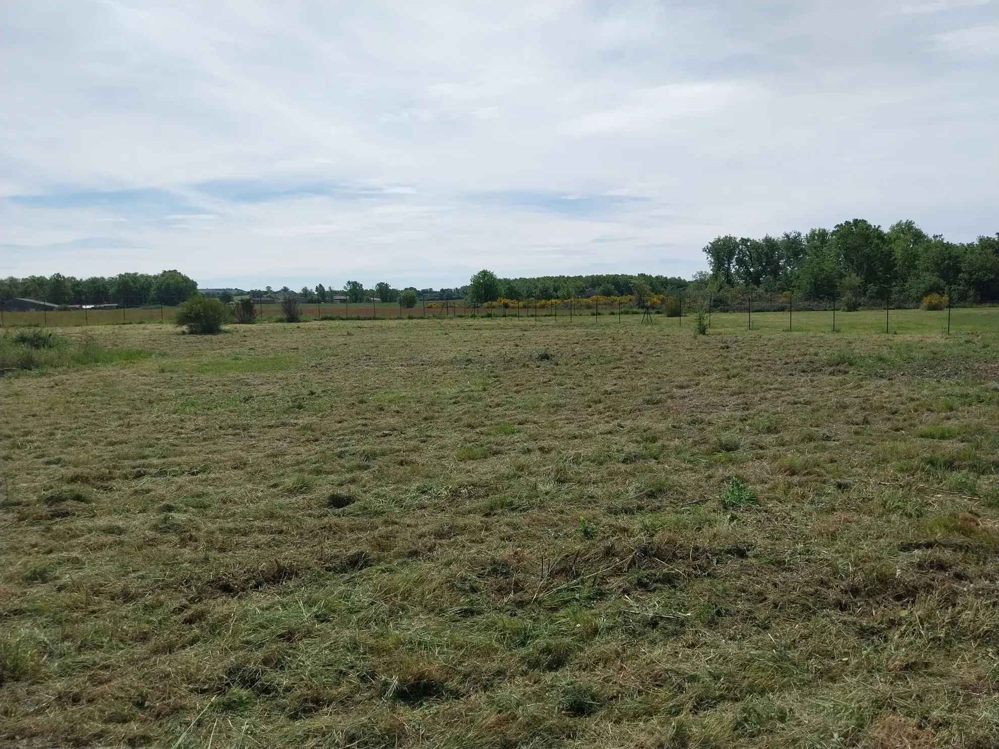 Terrain constructible de 1881 m² à Puygaillard de Quercy, au calme 