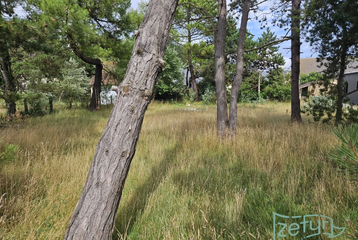 Terrain constructible proche de la mer à Saint-Germain-sur-Ay 