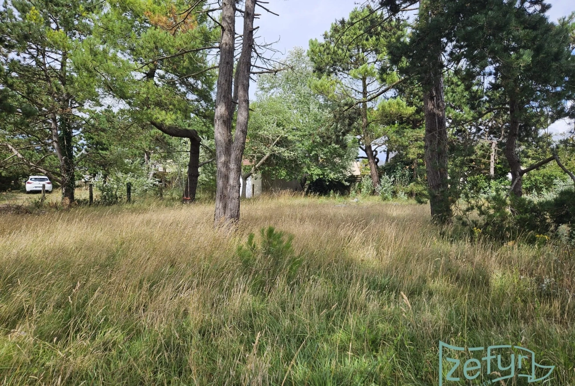 Terrain constructible proche de la mer à Saint-Germain-sur-Ay 