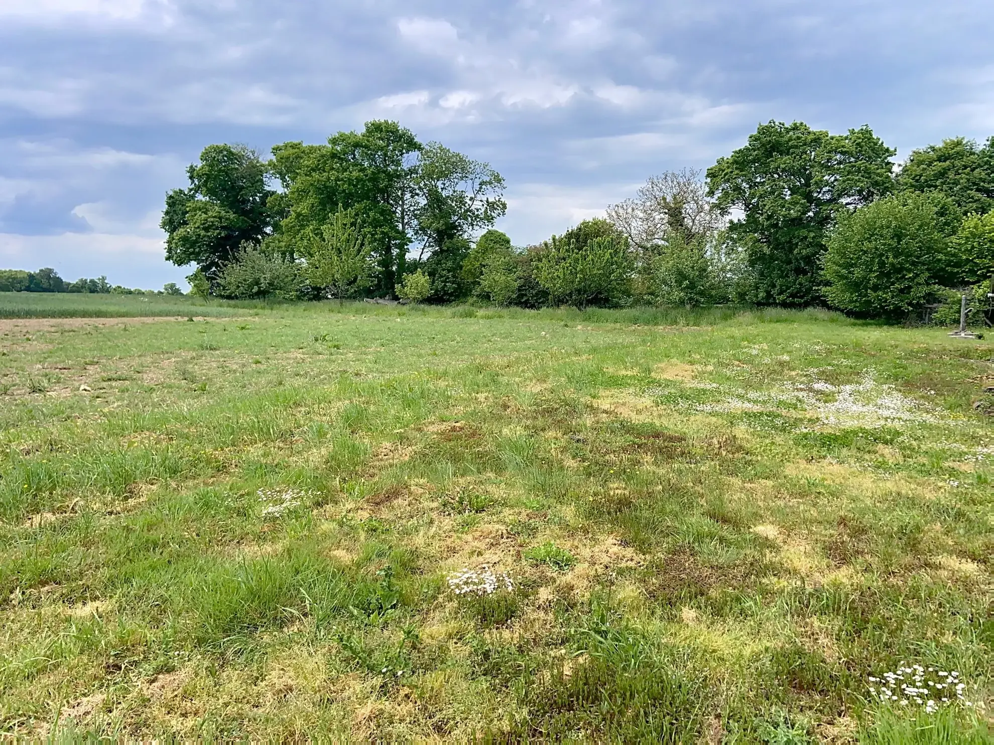 Charmante maison de campagne à rénover à Tremblay, 75 m² avec grand terrain 