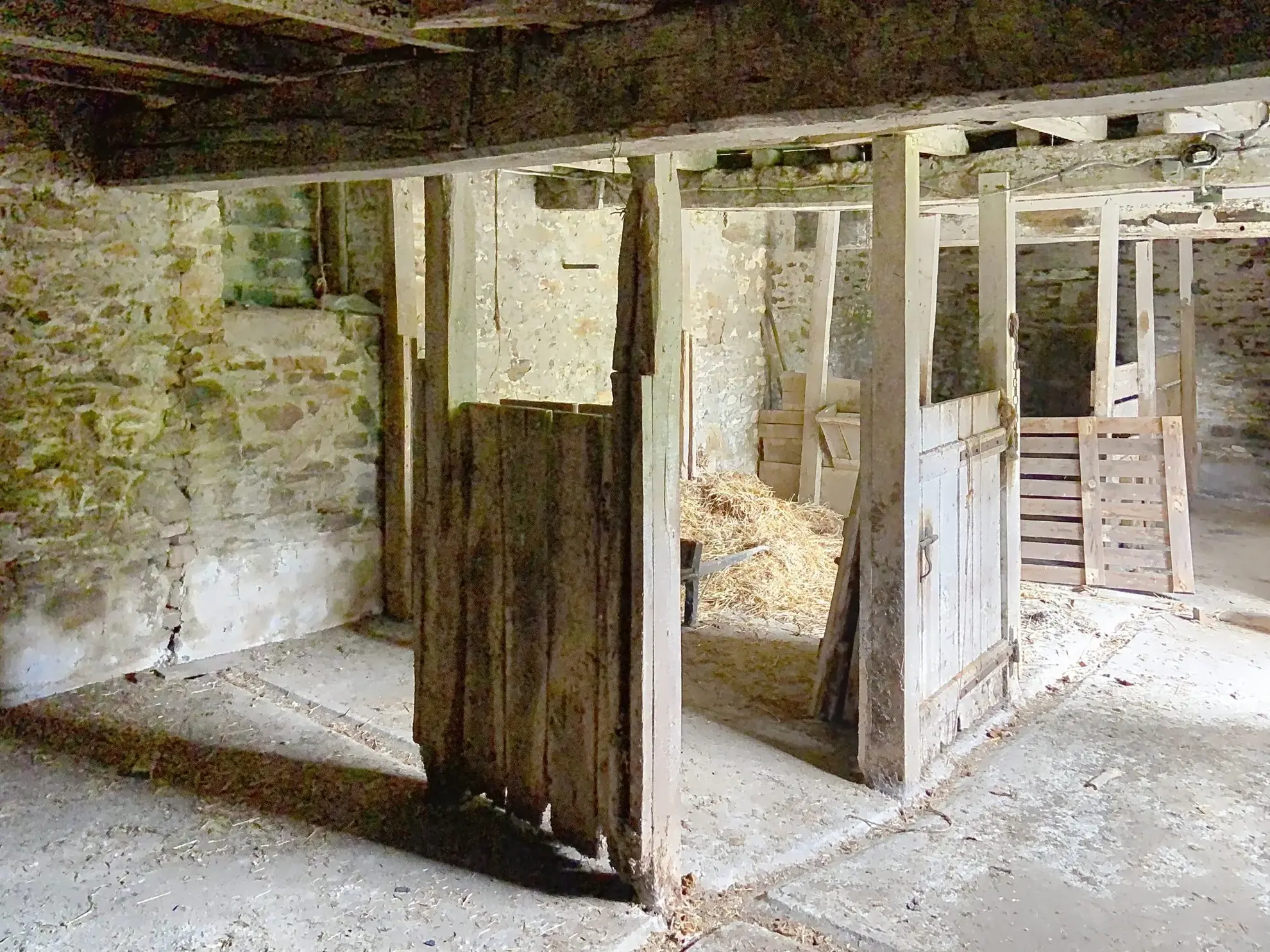 Charmante maison de campagne à rénover à Tremblay, 75 m² avec grand terrain 