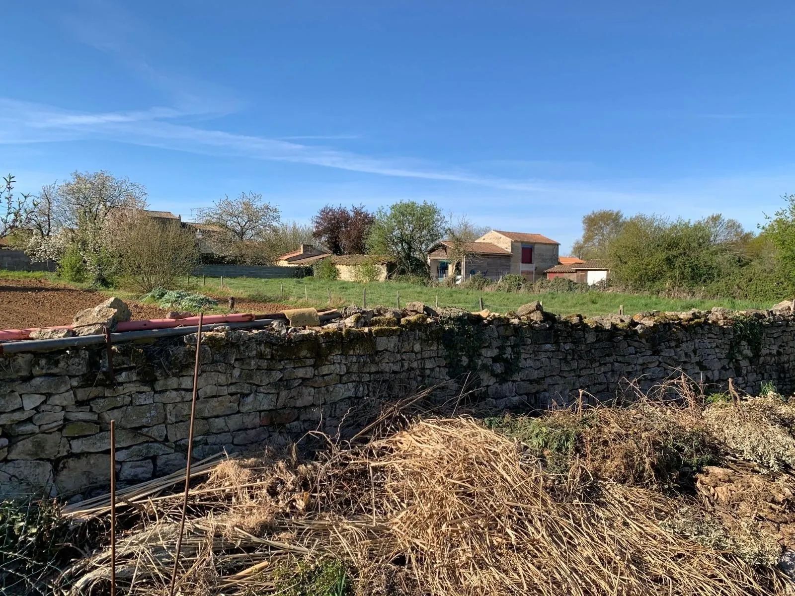 Terrain constructible de 1358 m² à Thorigné, non viabilisé 