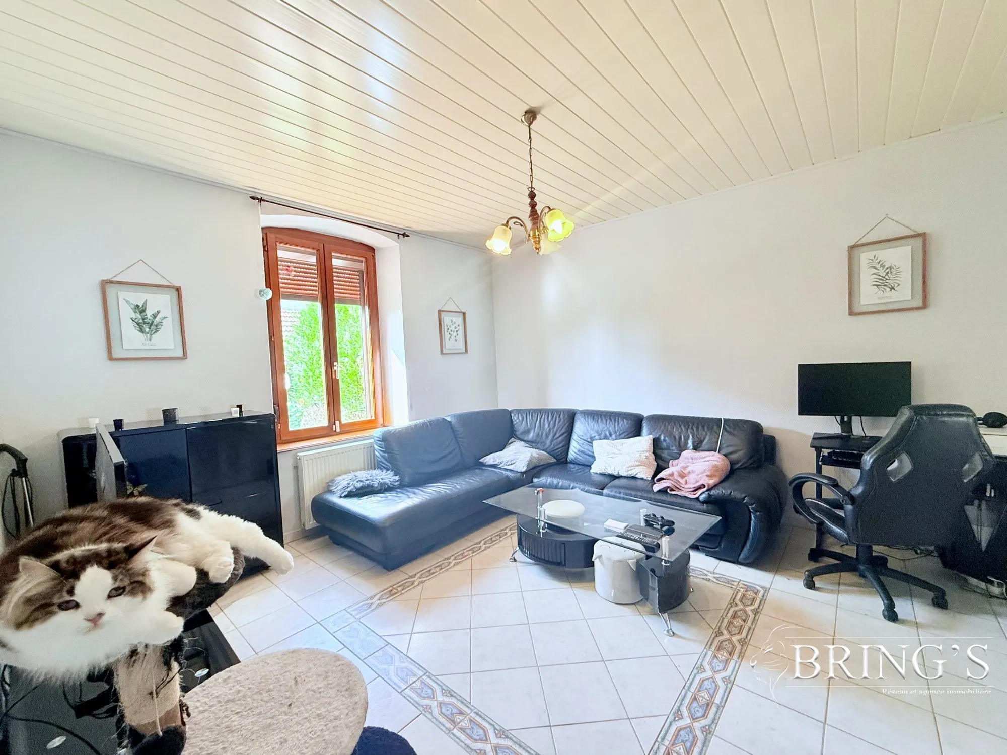 Maison à vendre à Trieux - 85 m² avec terrasse, jardin et dépendance 