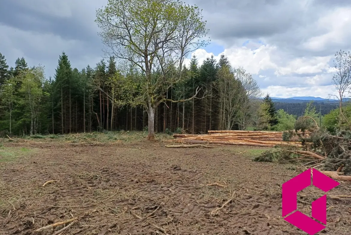 Terrain constructible de 1215 m² à Tence, calme et accessible 