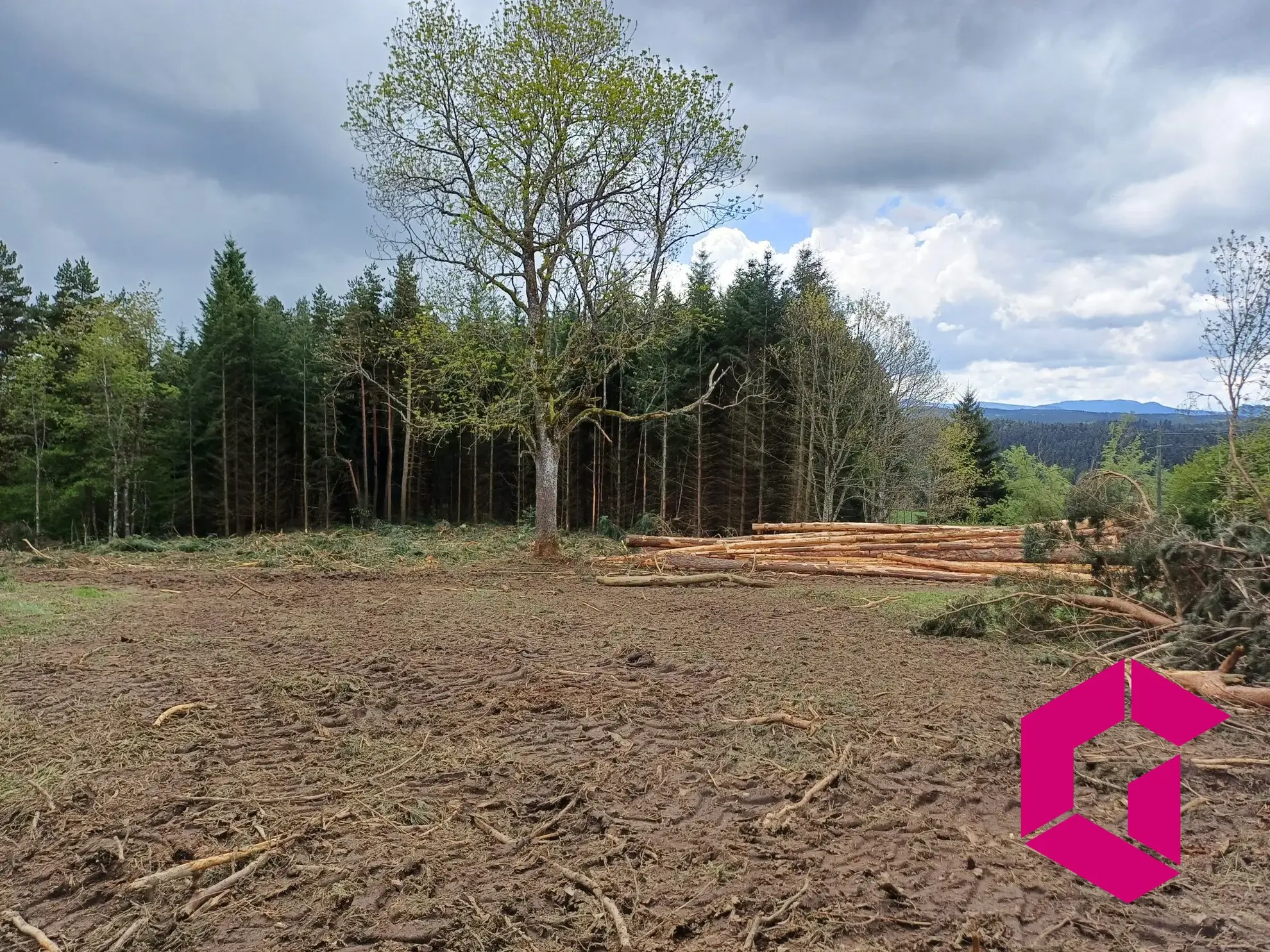 Terrain constructible de 1215 m² à Tence, calme et accessible 
