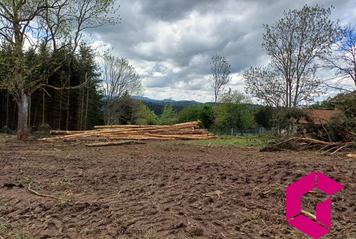 Terrain constructible de 1215 m² à Tence, calme et accessible 