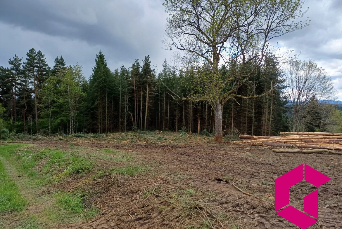 Terrain constructible de 1215 m² à Tence, calme et accessible 