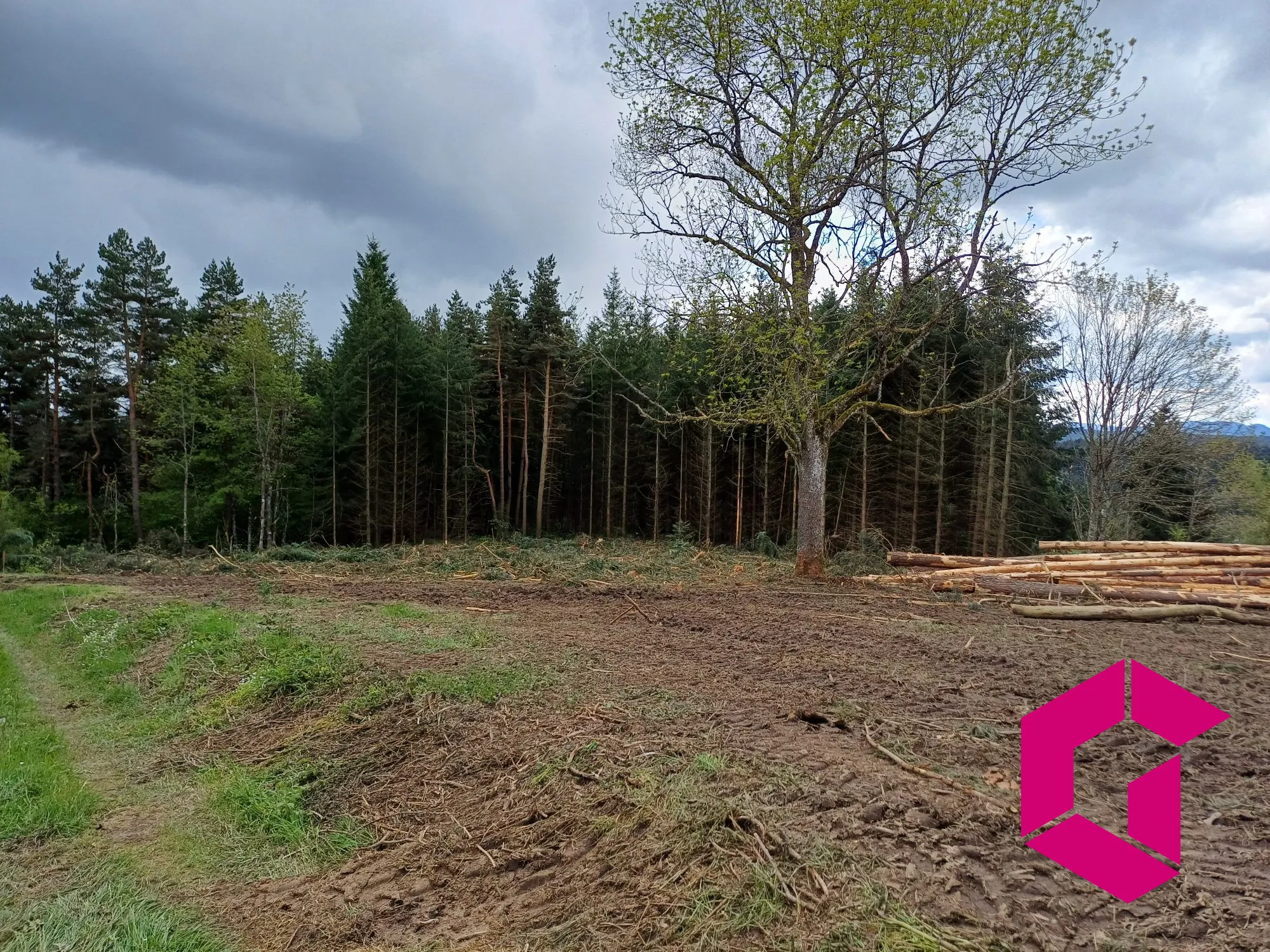 Terrain constructible de 1215 m² à Tence, calme et accessible 