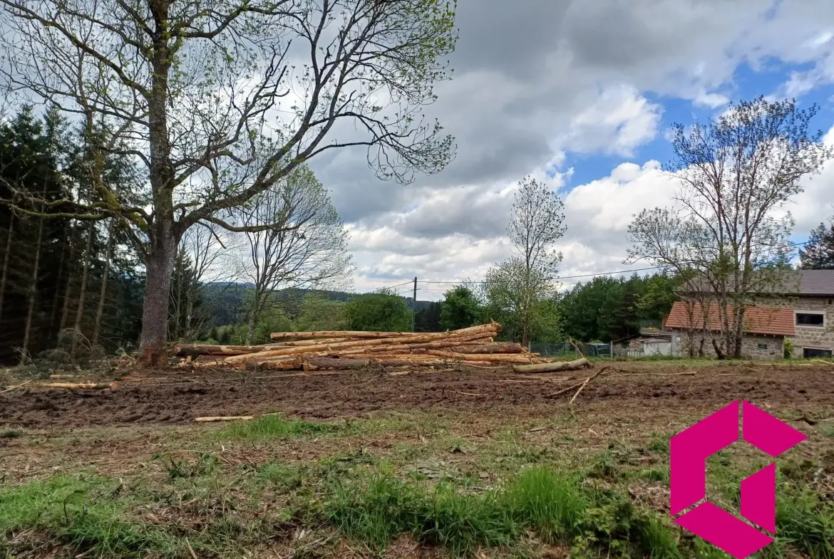 Terrain constructible de 1215 m² à Tence, calme et accessible 