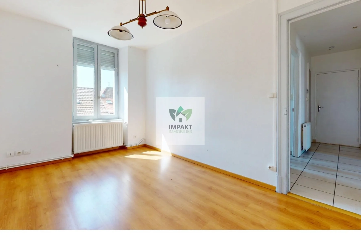 Charmant appartement T2/T3 à Belfort Quartier Brasse avec cave et jardin 