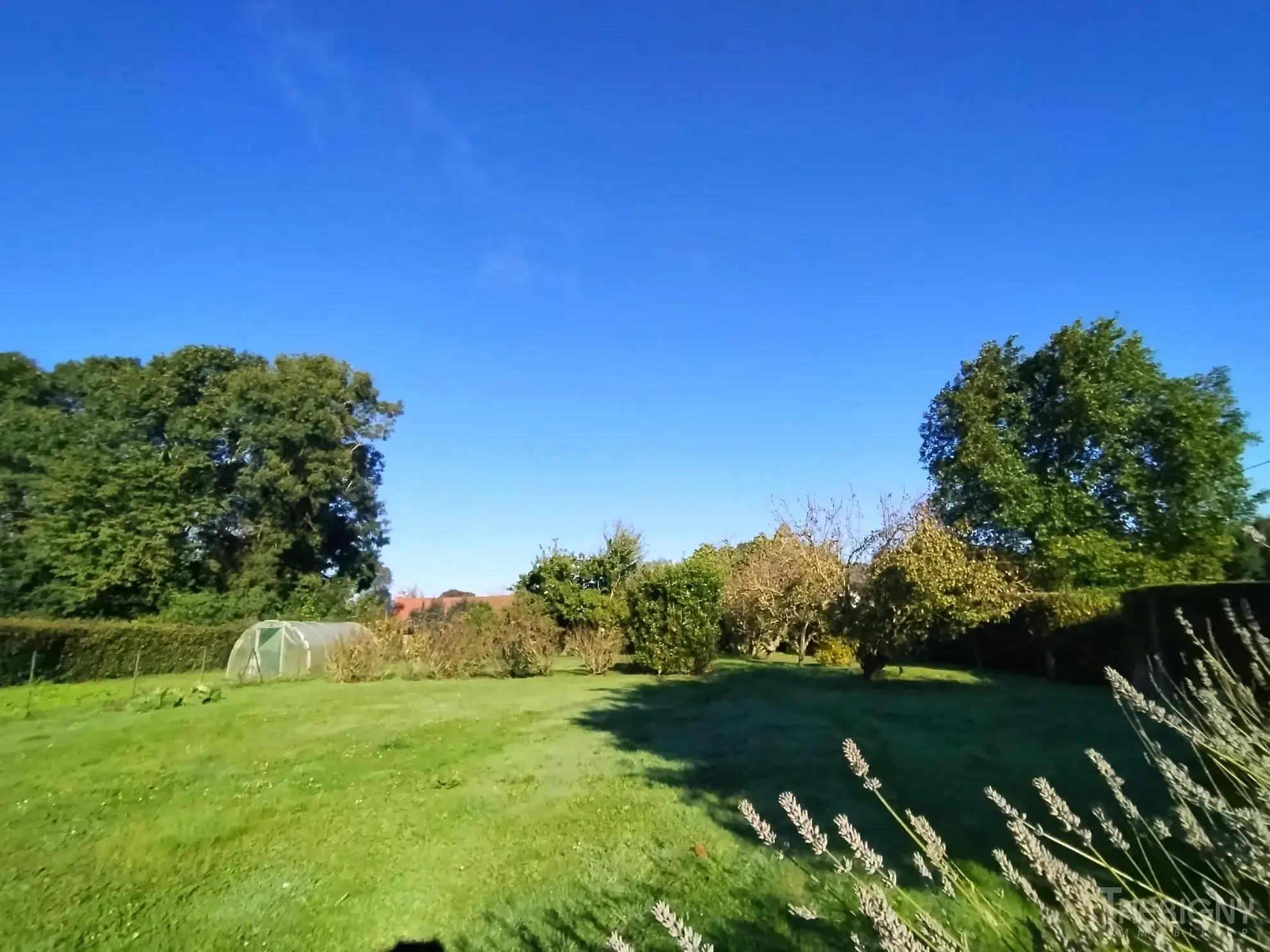 Terrain constructible à Bourseville proche des plages pour votre projet immobilier 
