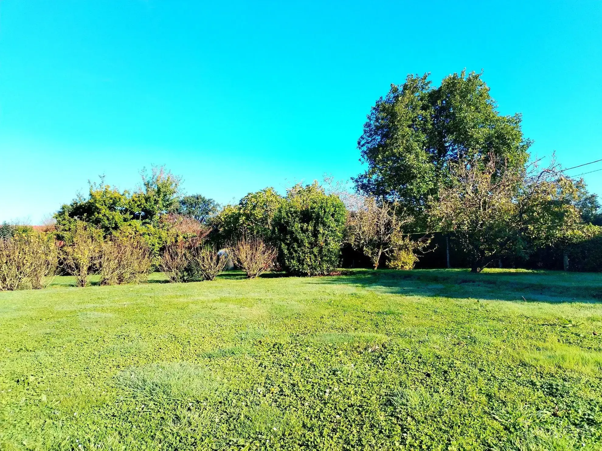 Terrain constructible à Bourseville proche des plages pour votre projet immobilier 