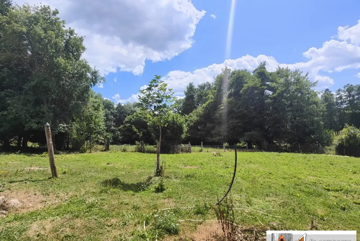 Ensemble immobilier en pierres avec grandes dépendances à Charensat 