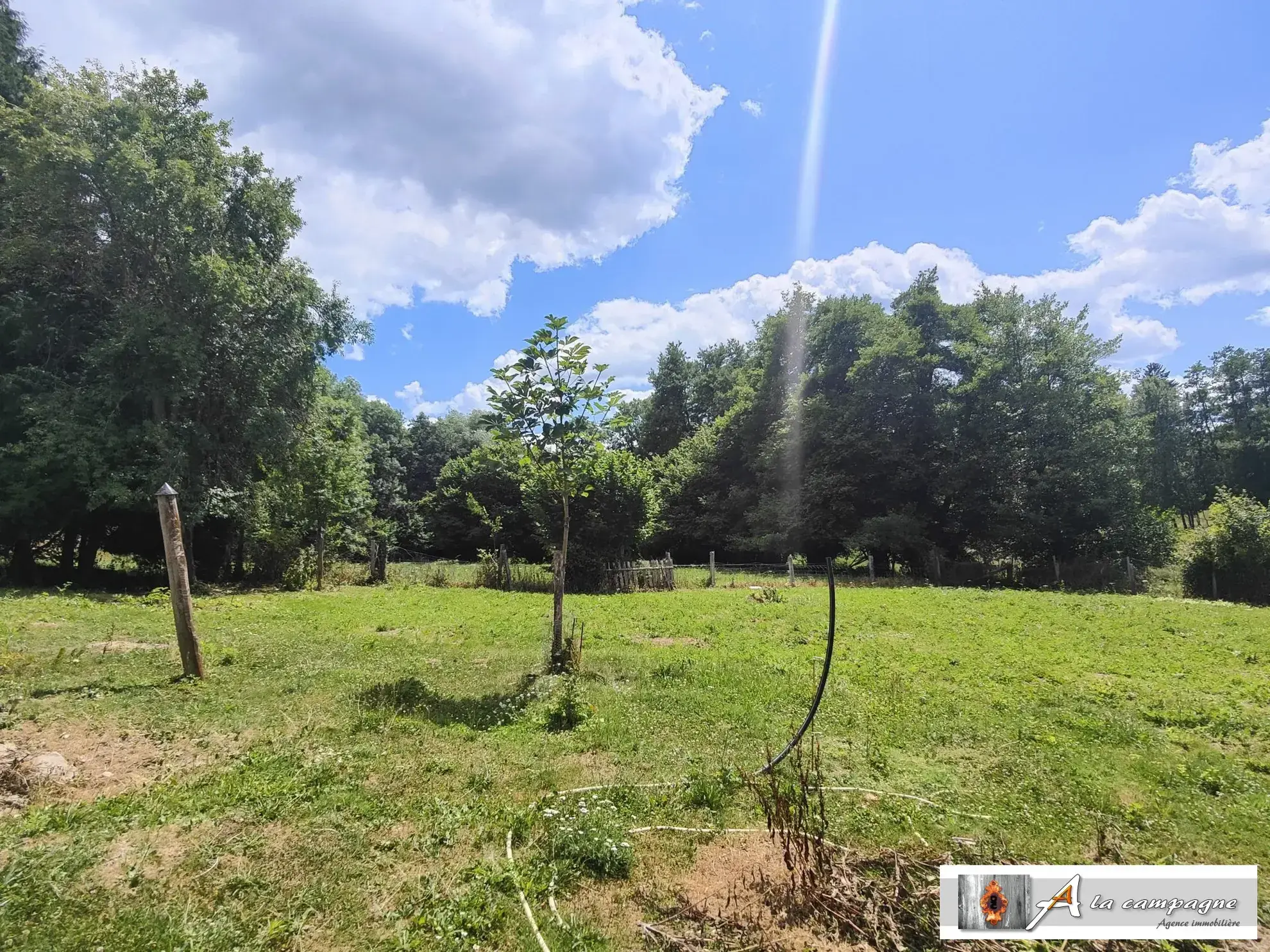 Ensemble immobilier en pierres avec grandes dépendances à Charensat 