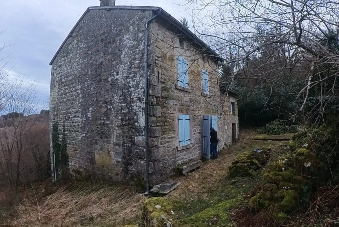 Maison de Campagne à Rénover avec Jardin à Saint-Pardoux-Morterolles 