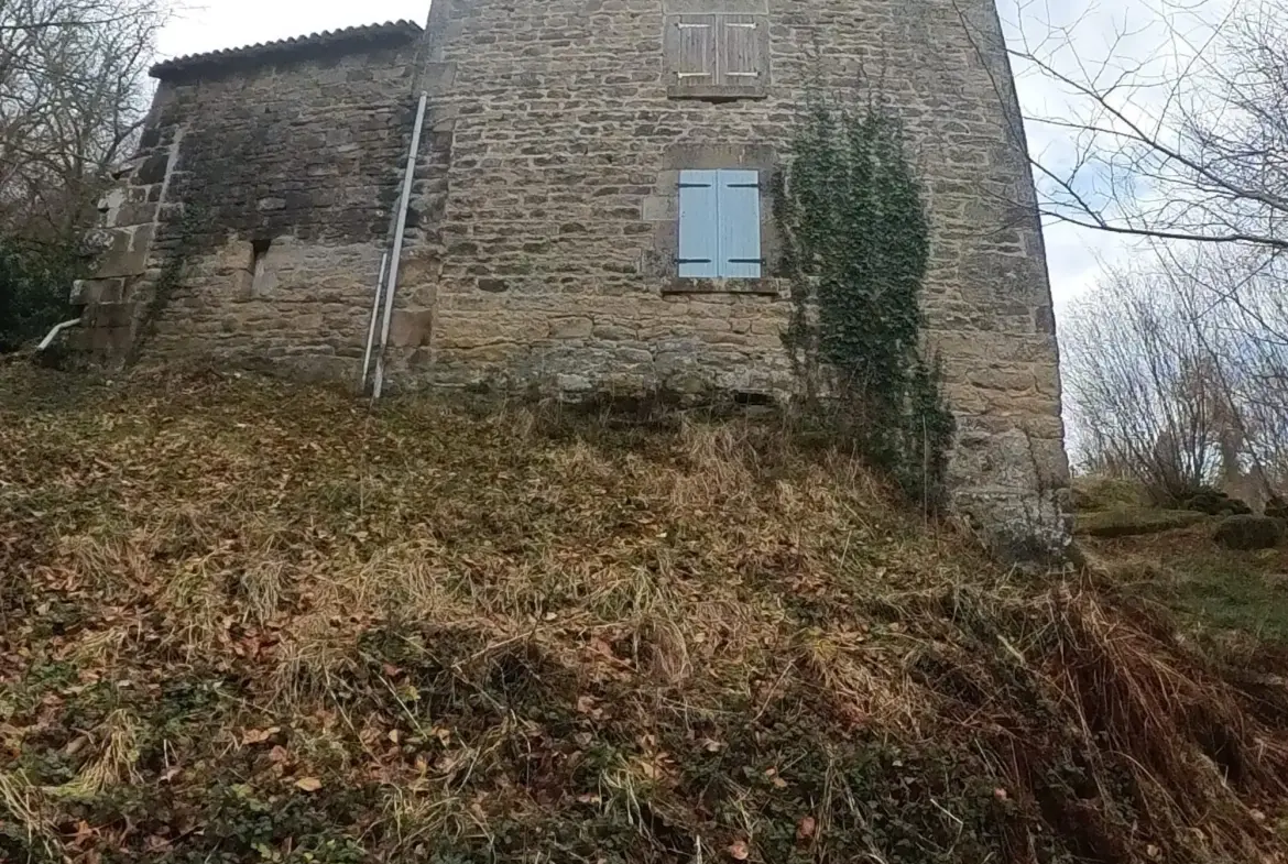 Maison de Campagne à Rénover avec Jardin à Saint-Pardoux-Morterolles 