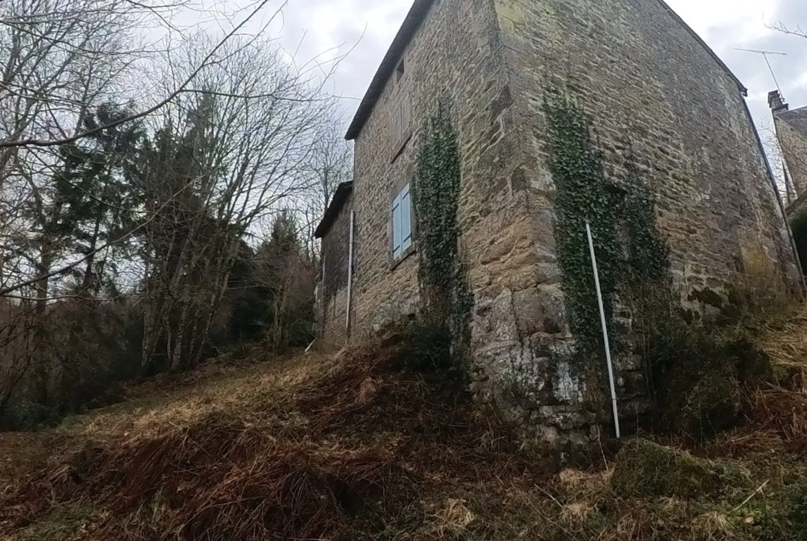 Maison de Campagne à Rénover avec Jardin à Saint-Pardoux-Morterolles 