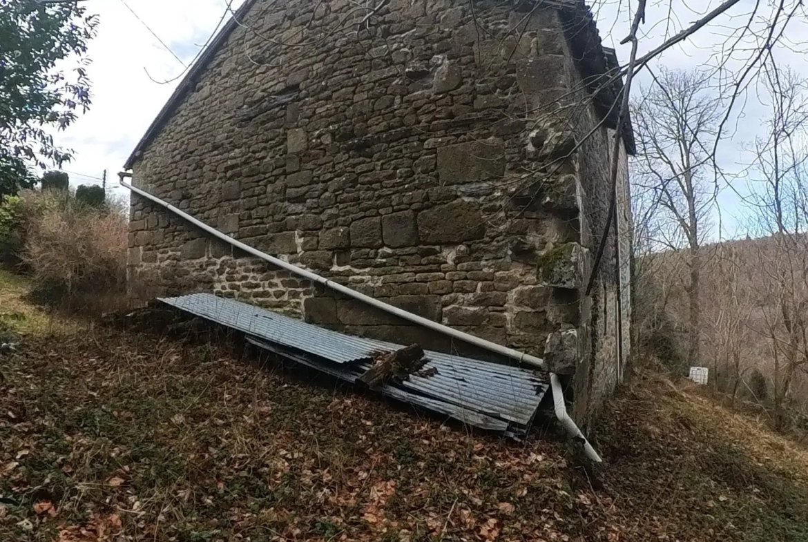 Maison de Campagne à Rénover avec Jardin à Saint-Pardoux-Morterolles 
