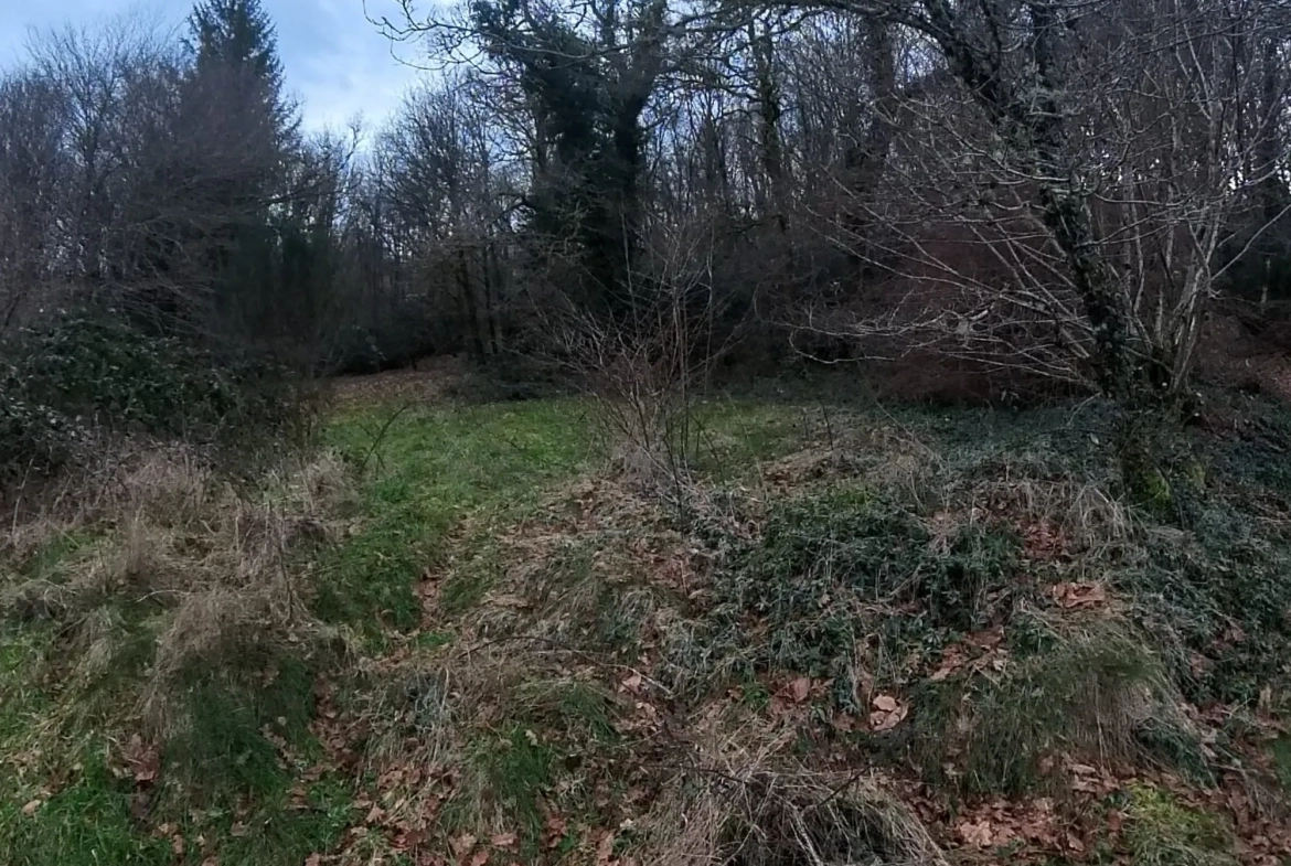 Maison de Campagne à Rénover avec Jardin à Saint-Pardoux-Morterolles 