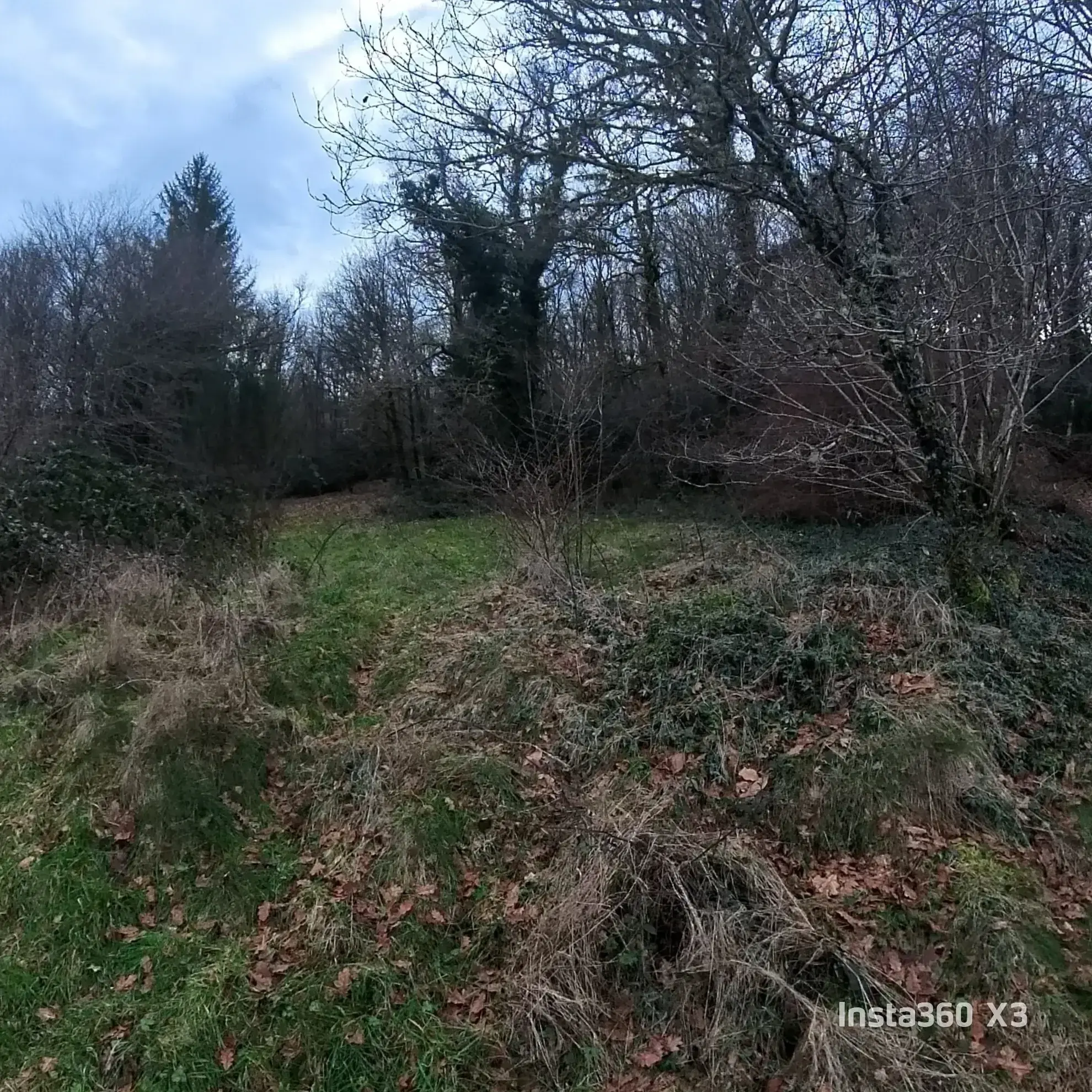 Maison de Campagne à Rénover avec Jardin à Saint-Pardoux-Morterolles 