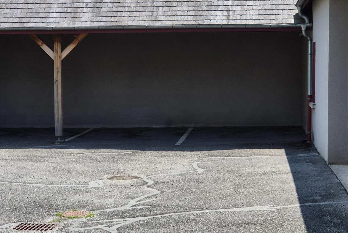 Appartement duplex à vendre à Arreau avec vue montagne et piscine 