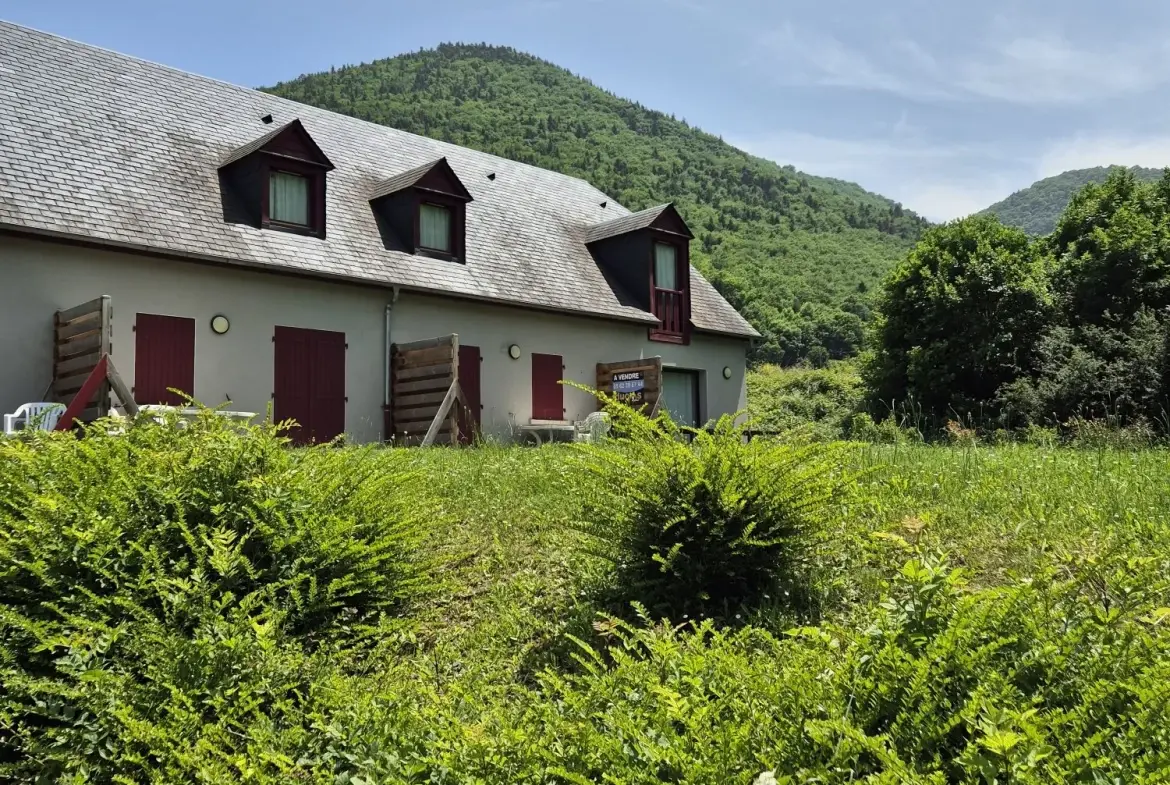 Appartement duplex à vendre à Arreau avec vue montagne et piscine 