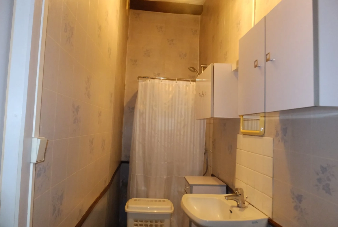 Immeuble de rapport à vendre à Ainay-le-Château - Opportunité d'investissement 