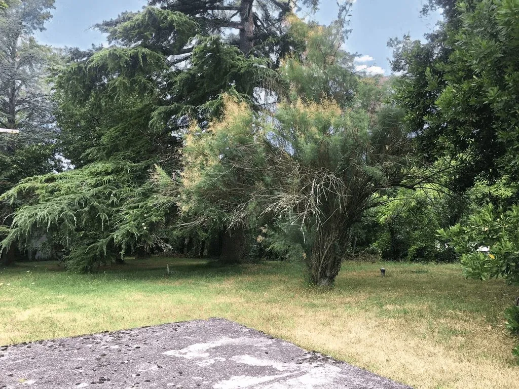 Maison à vendre à Saint-Pierre-de-Bat avec véranda, jardin et garage 