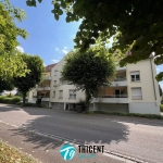 Appartement T3 à vendre à Brumath (67170) avec terrasse et parking
