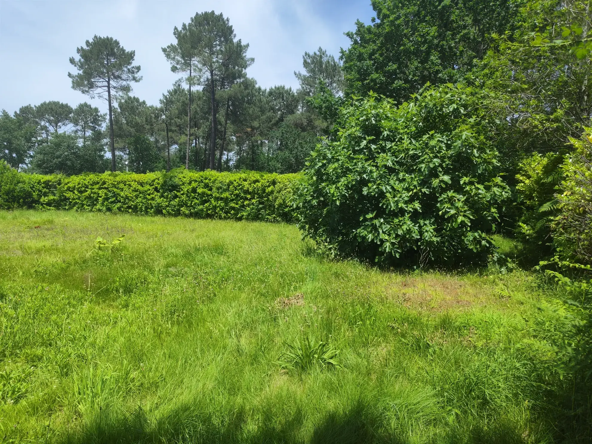 Terrain constructible de 465 m² au Porge avec permis de construire validé 