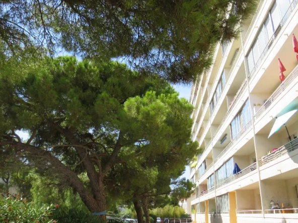 Appartement T3 loué à Toulon Brunet avec terrasse et cave, rendement attractif