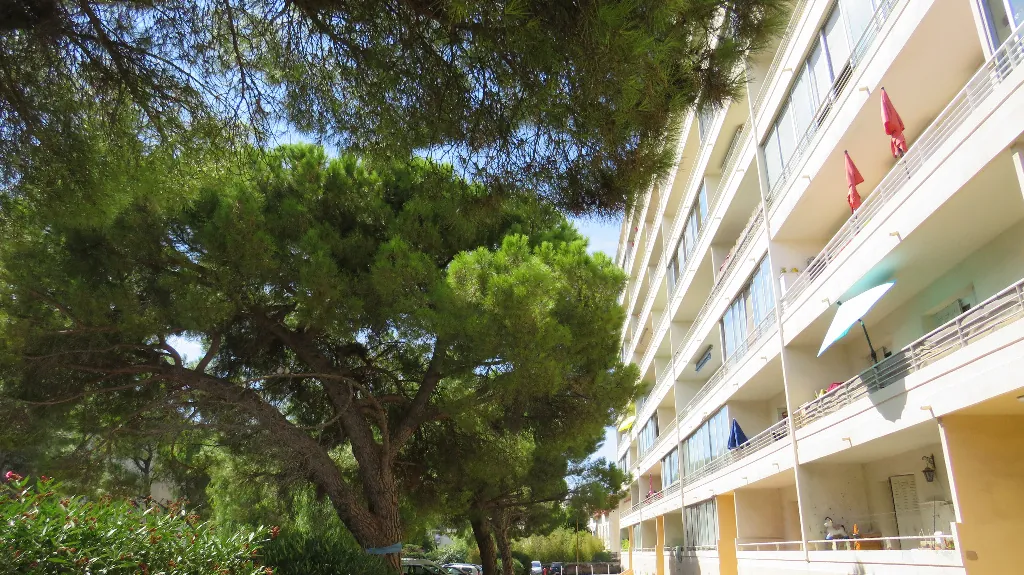 Appartement T3 loué à Toulon Brunet avec terrasse et cave, rendement attractif 
